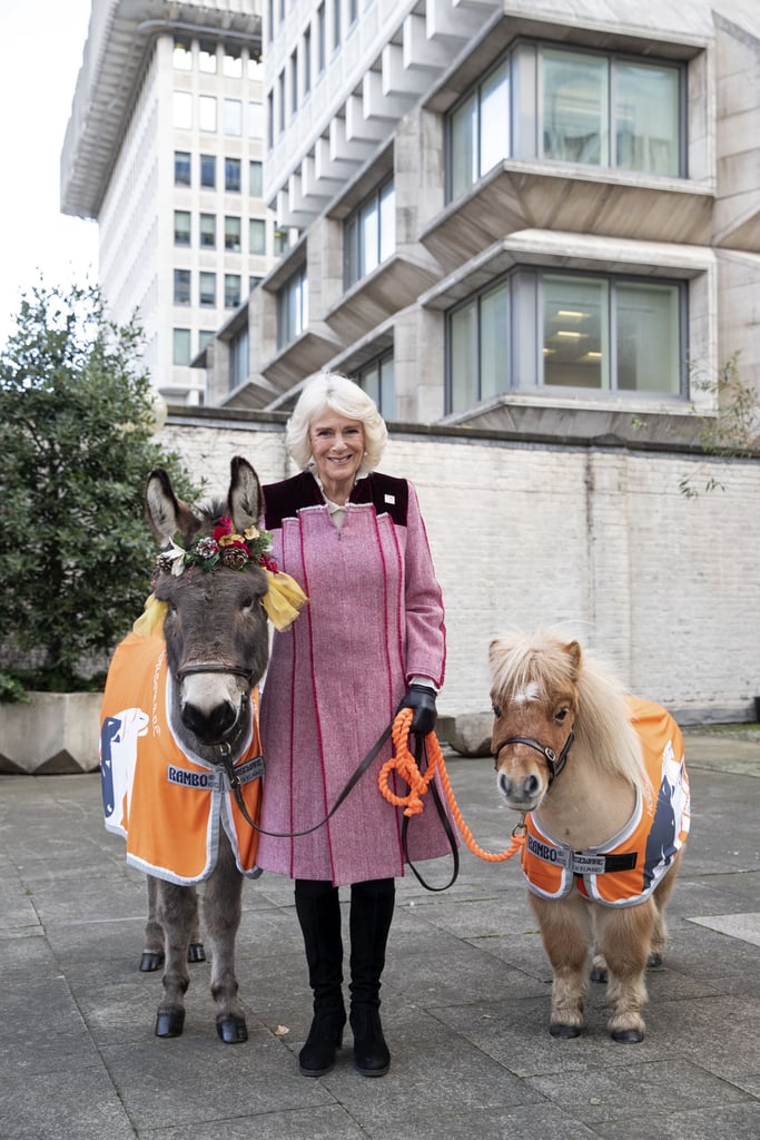 Camilla Parker Bowles at Brooke Action Charity Event December 2018