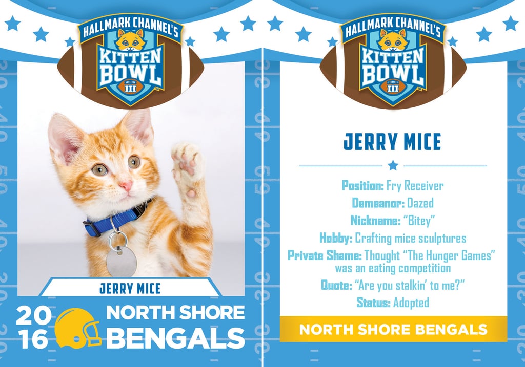 Kitten Bowl 2016