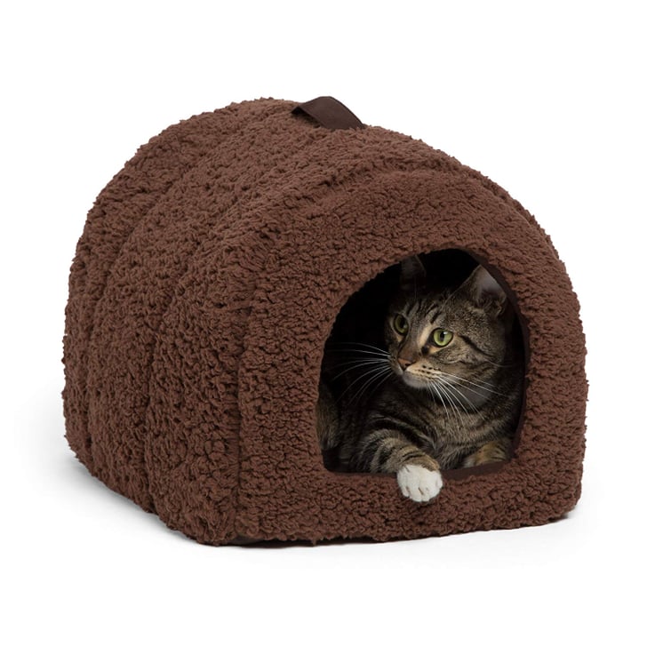 Best friends by sheri shop pet igloo
