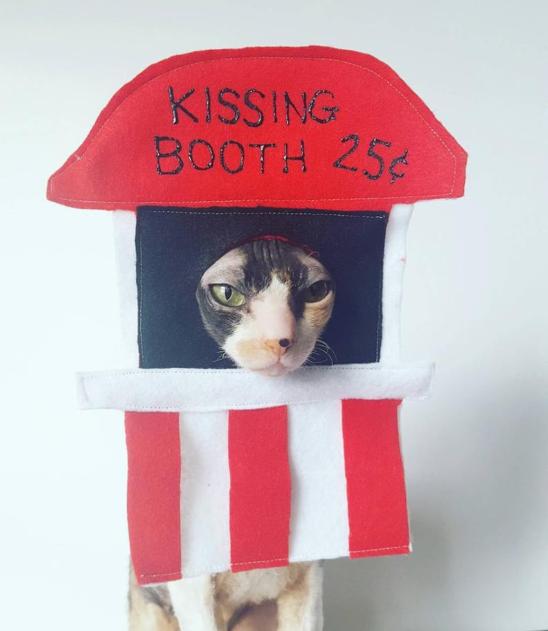 Kissing Booth Costume