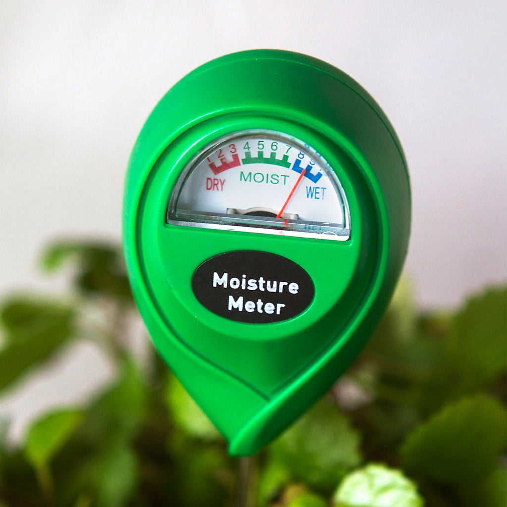 Moisture Meter