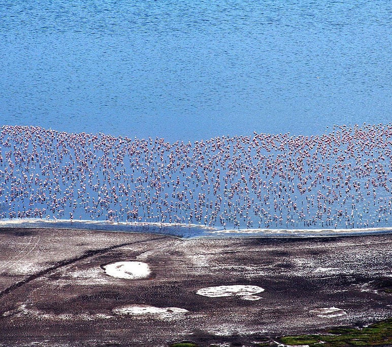 Lake Nakuru, Kenya