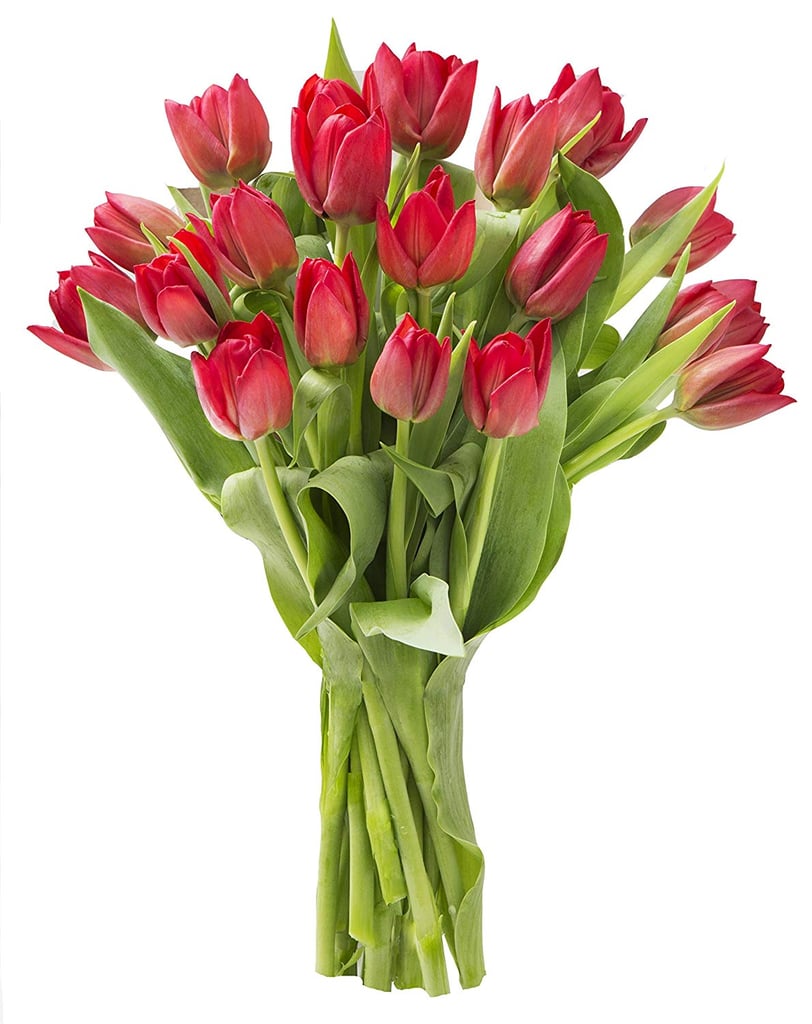 Blooms2Door Red Tulips