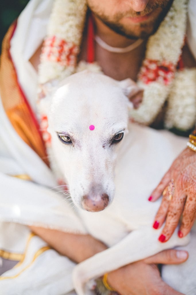 Backyard Hindu Wedding