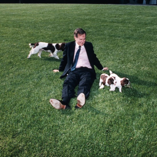 The Cutest Presidential Pets Through History