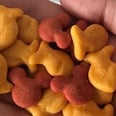 Mickey Mouse Goldfish Exist Because Dreams Really Do Come True