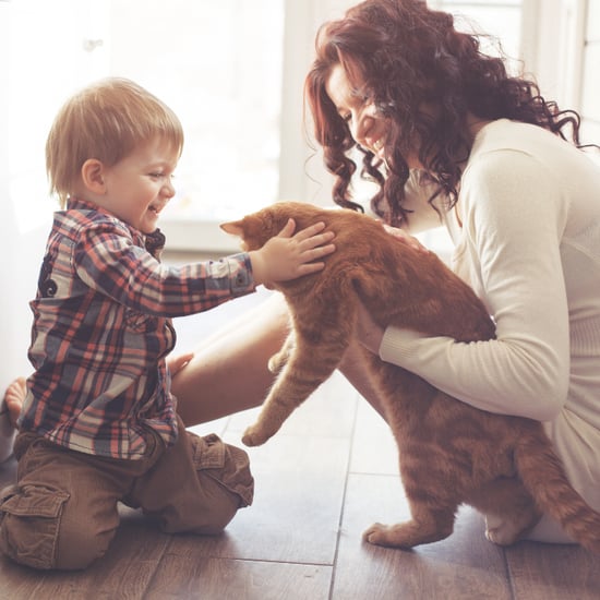 How to Keep Your Pet Happy at Home