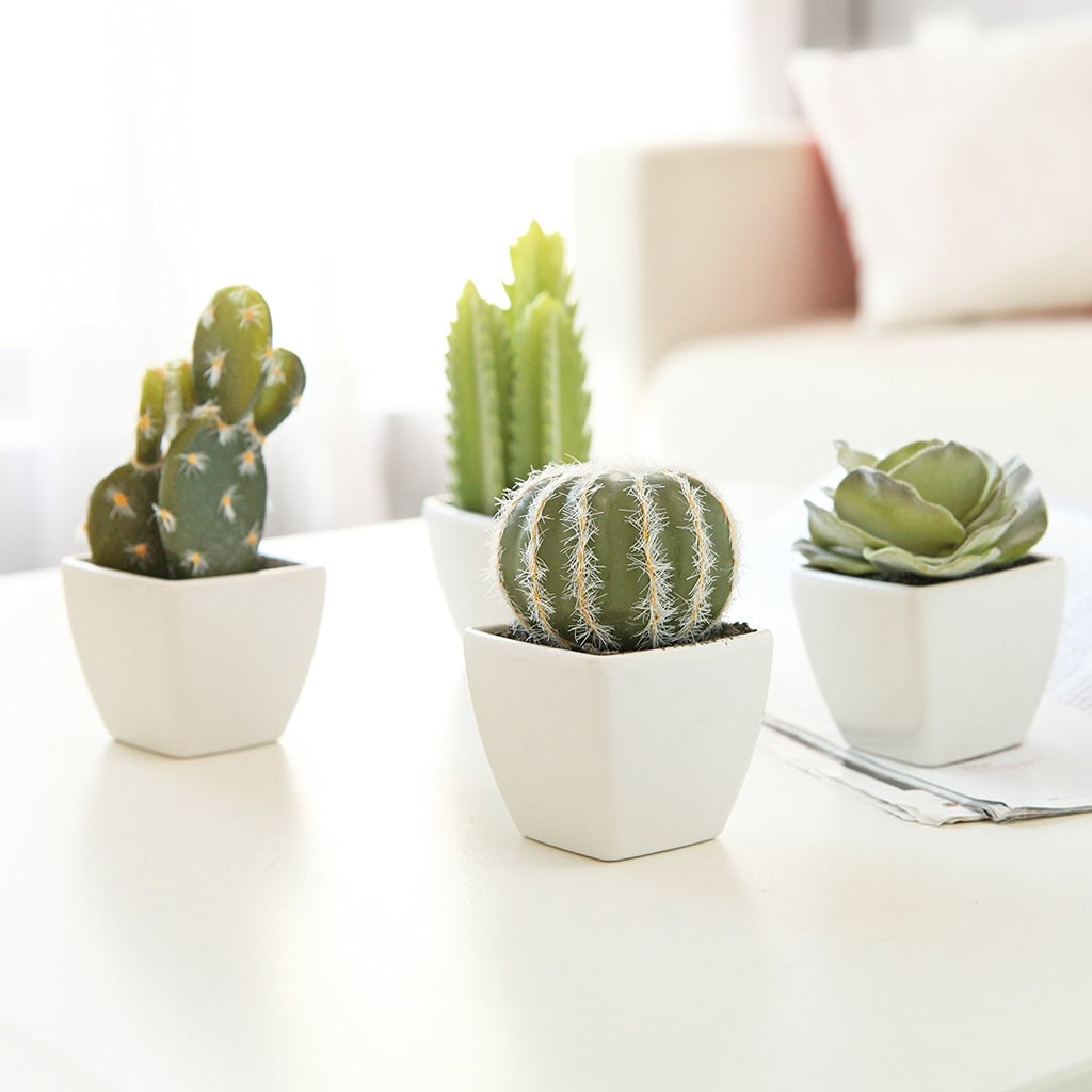 An Adorable Set of 4 Artificial Mini Succulent & Cactus Plants