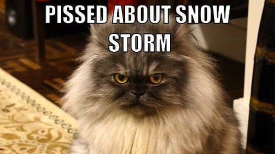 Blizzard Memes