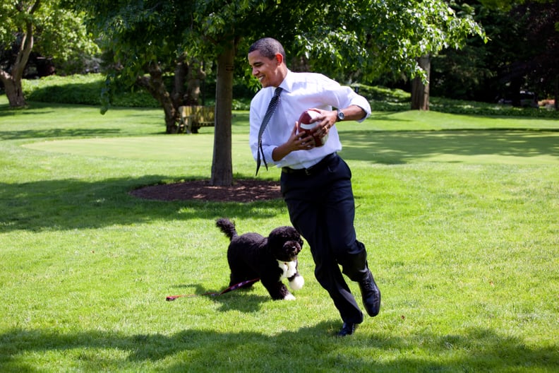 Playing "keep away" with Bo on the south lawn in 2009.