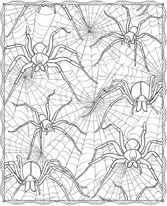 Spiders in Web Printable Printable Halloween Coloring Pages For