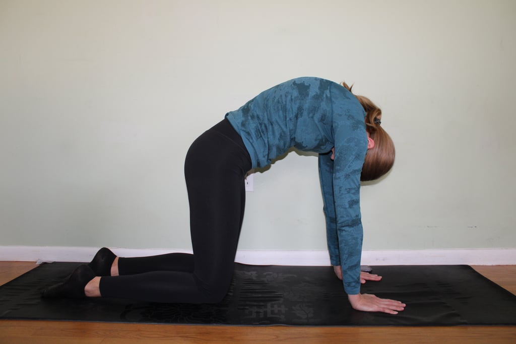 Cat-Cow Pose