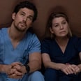 Can't Get Enough Grey's Anatomy? ABC Just Extended Season 15!