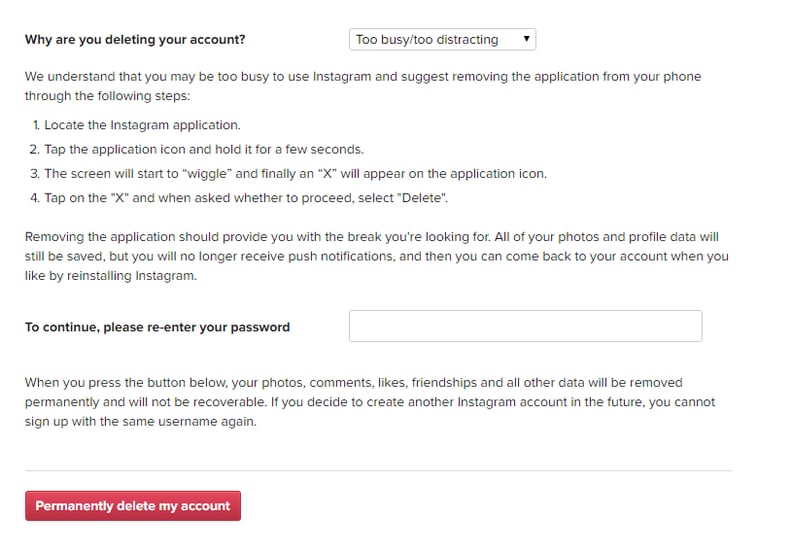 Reenter your password and then click the "Permanently delete my account" option.