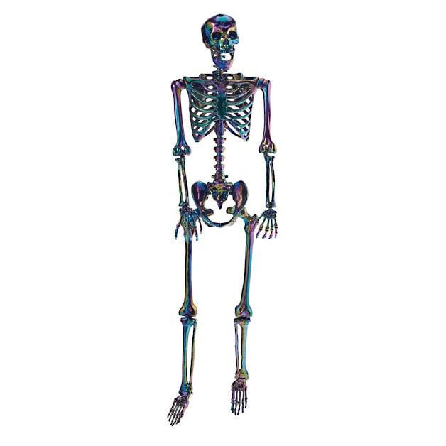 Shop Grandin Road’s Life-Size Iridescent Halloween Skeleton