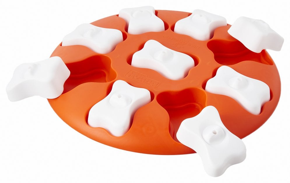 Nina Ottosson by Outward Hound Smart Puzzle Game Dog Toy