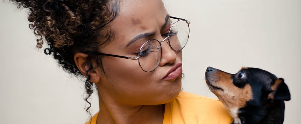 How Do Dogs Communicate?