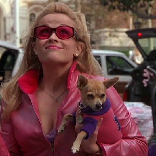 Bruiser Woods From Legally Blonde Has Died (Video)