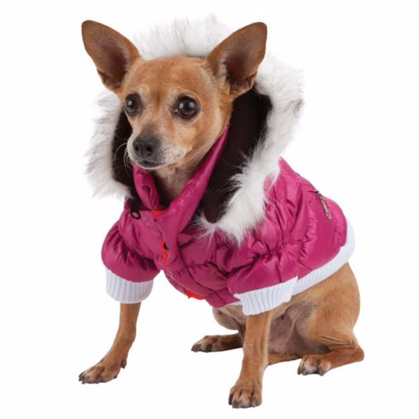 Pet Life Ski Parka Dog Coat ($40)