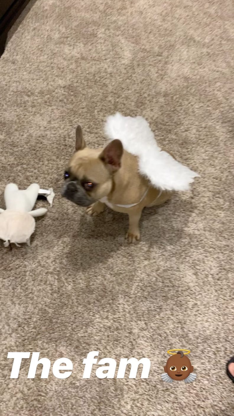 Simone Biles and Stacey Ervin Jr. Angel Halloween Costumes PS Celebrity