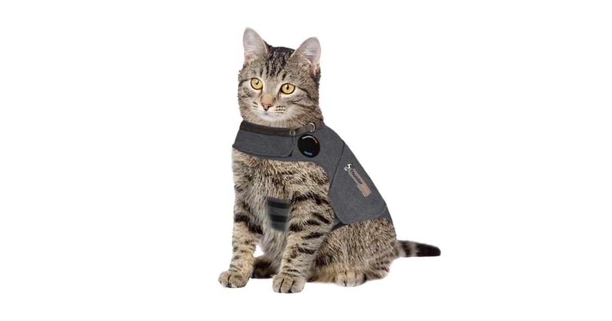 Thundershirt Anxiety And Calming Aid For Cats Raise The Woof 50
