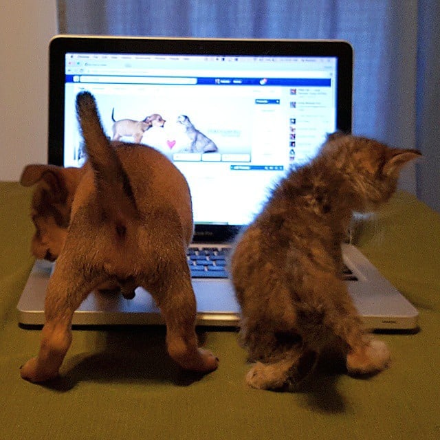"We have how many likes?!"