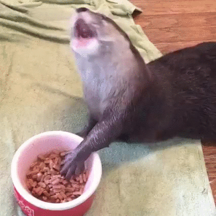 Any time they eat.