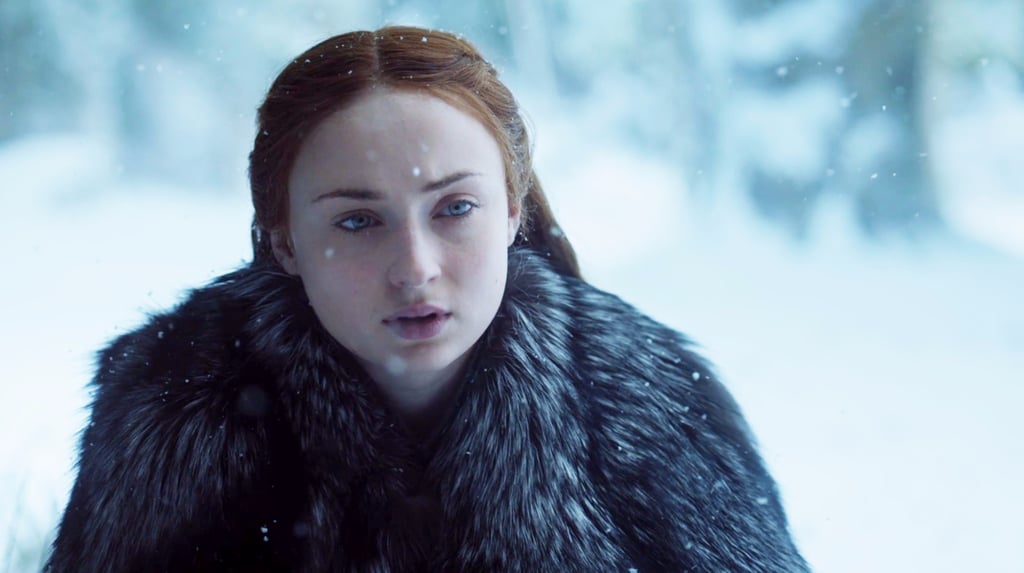 Reactions to Bran and Sansa's Reunion on Game of Thrones