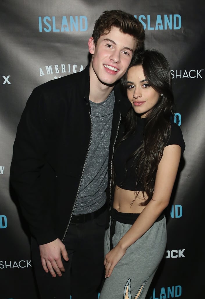 Camila Cabello and Shawn Mendes's Cutest Pictures