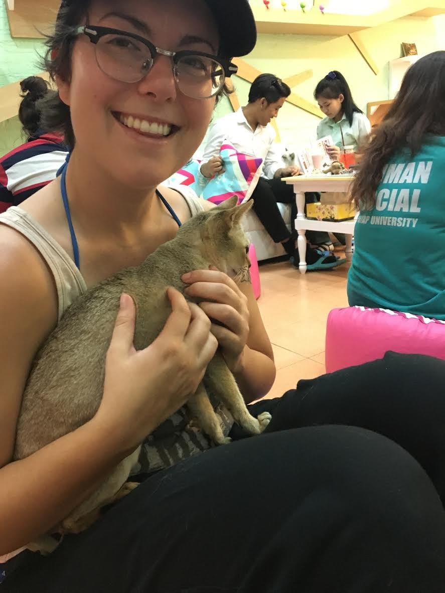 Chiang Mai cat cafe