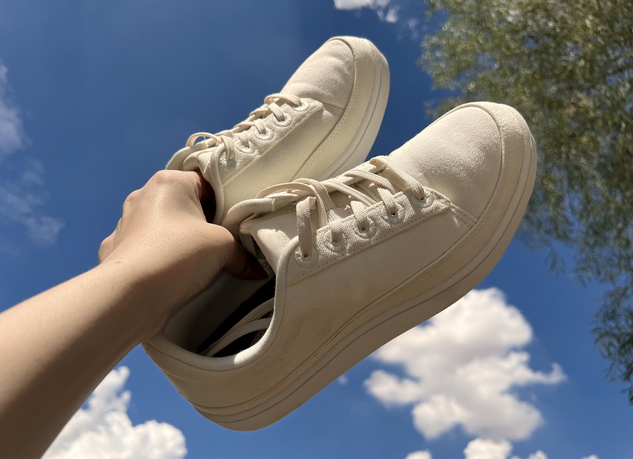 Allbirds Canvas Pacers Sneaker Editor Review | POPSUGAR Fashion