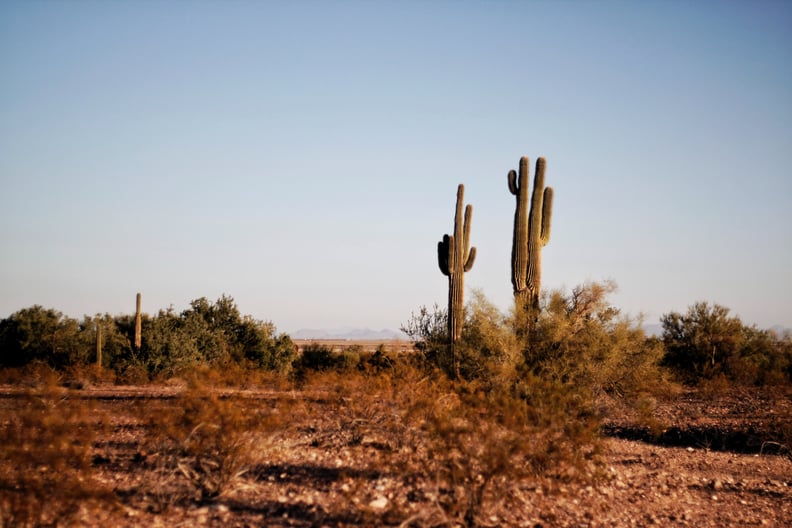 Best Desert Babymoon