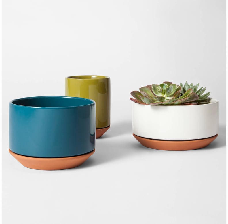 Modern Terra Cotta Planters