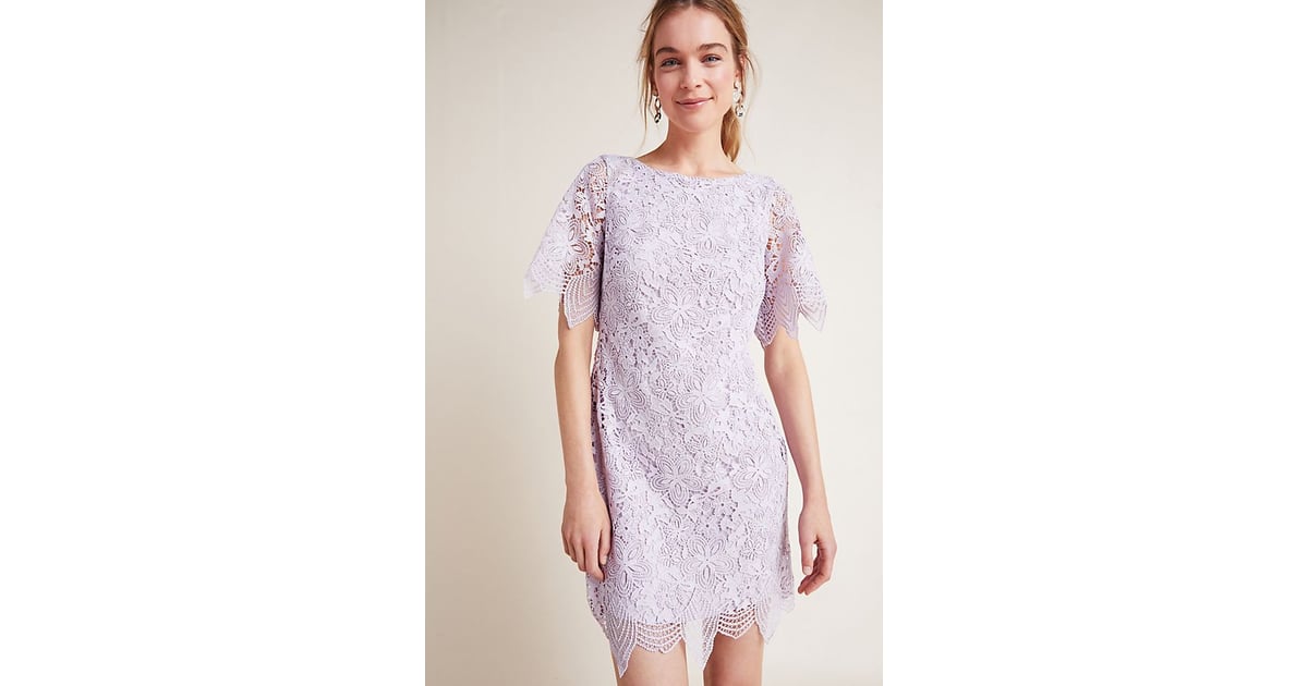 Charleston lace sales mini dress