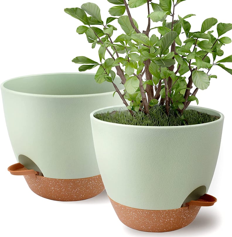 Self-Water Indoor Planters