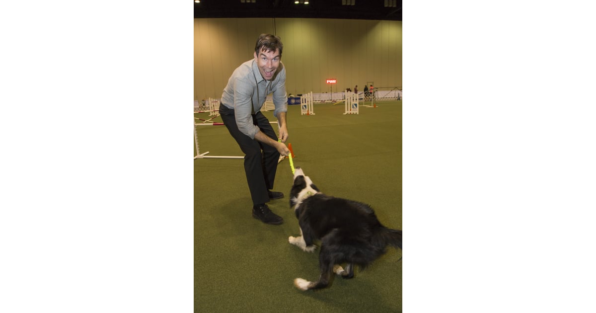 Jerry O'Connell at AKC National Championship Dog Show POPSUGAR Pets Photo 8