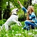 Essential Hand Signals For Dogs