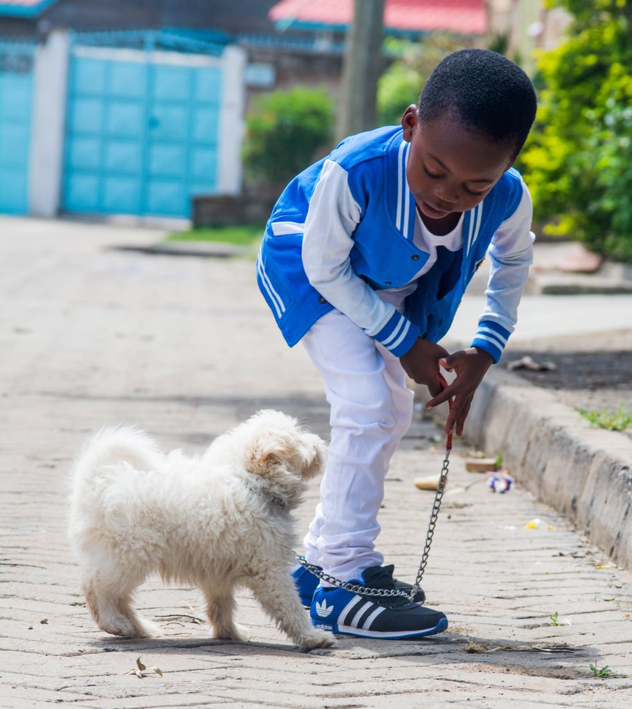 Certain Pets Can Help Combat Allergies