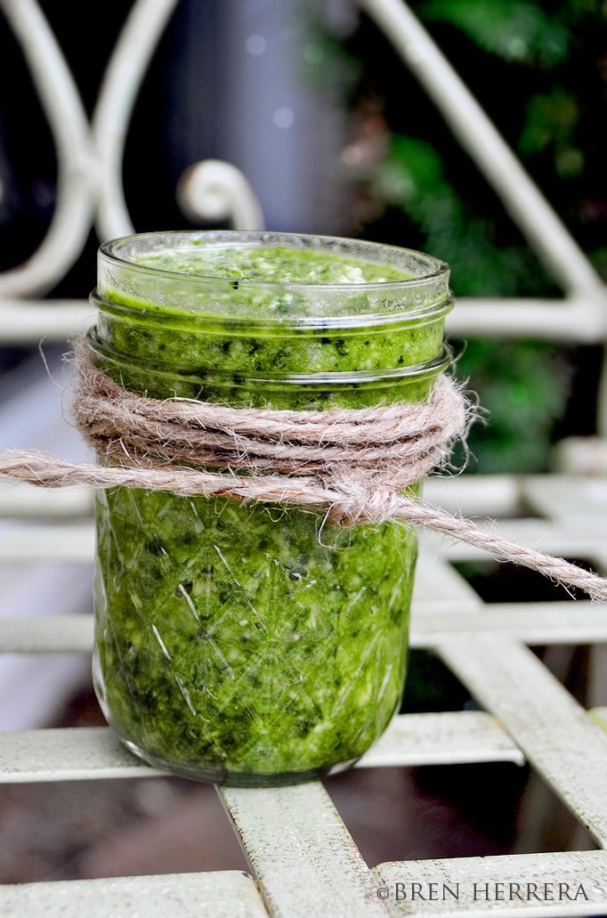 Chunky Garlic Basil Pesto