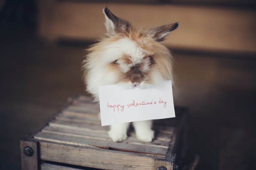 Download Free Valentine S Day Zoom Backgrounds Popsugar Tech How to use funny backgrounds and webcam filters on zoom. day zoom backgrounds