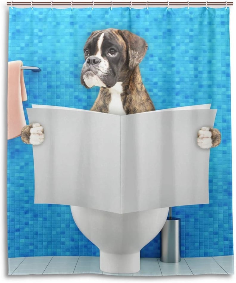 A Boxer on the Toilet