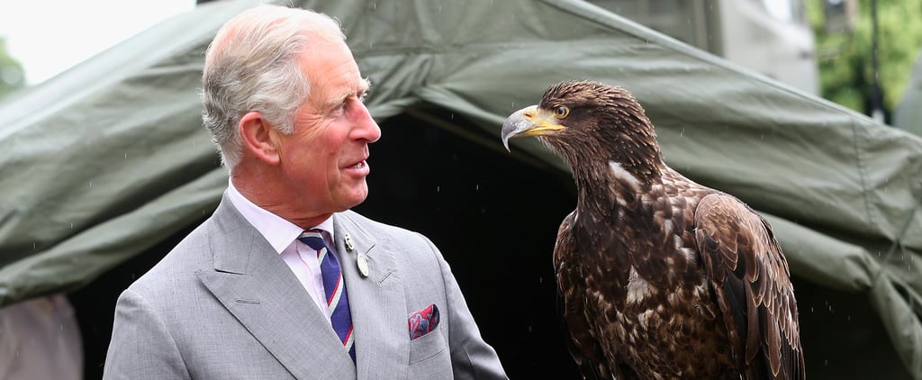 Photos of Prince Charles With Animals