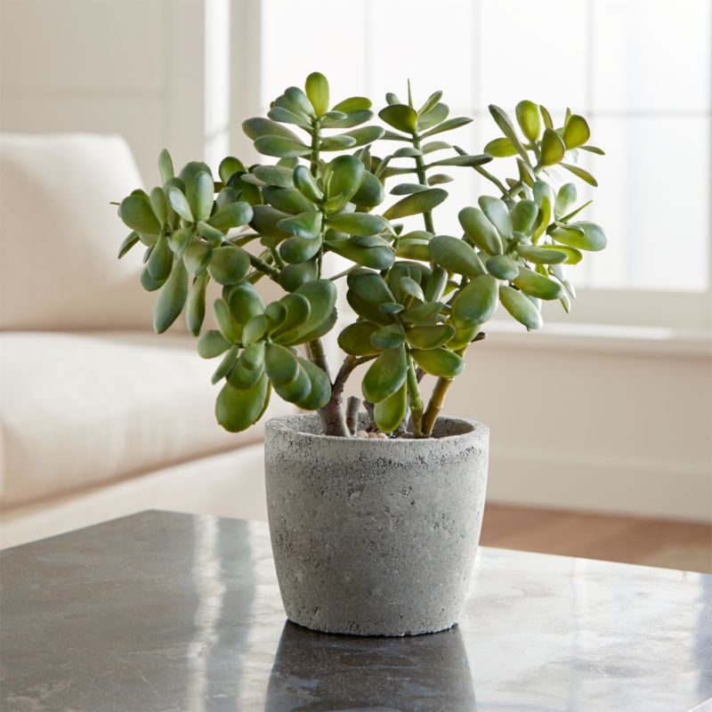 Bonnie: Potted Artificial Jade Plant