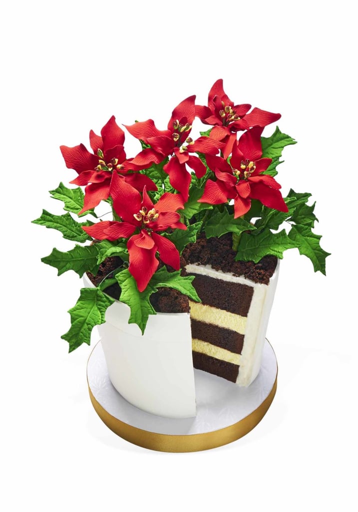 Oprah's Poinsettia Flower Pot Cake