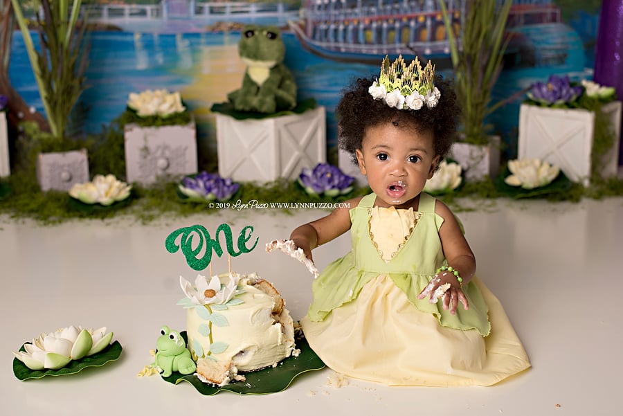 Princess and the Frog Cake Smash
