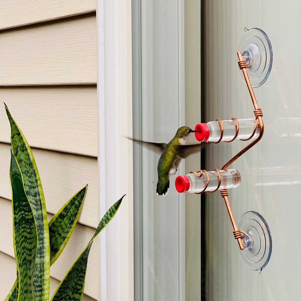 A Window Feeder: Sweet Feeders Geometric Window Hummingbird Feeder