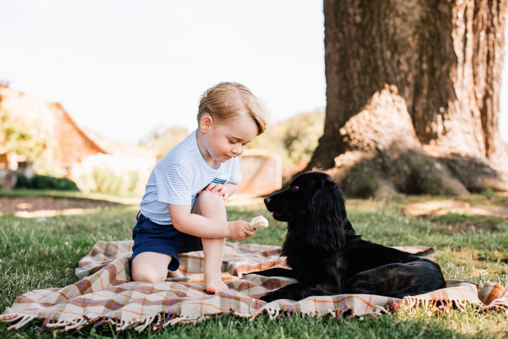 Best Pictures of Prince George and Princess Charlotte | 2016