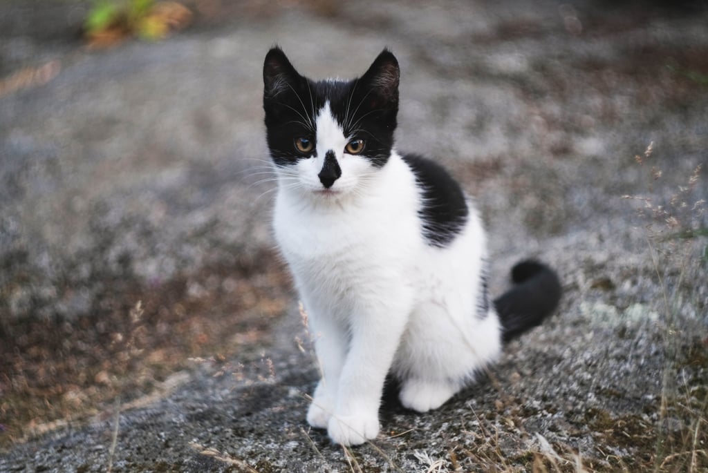 Look at this little guy's spots!