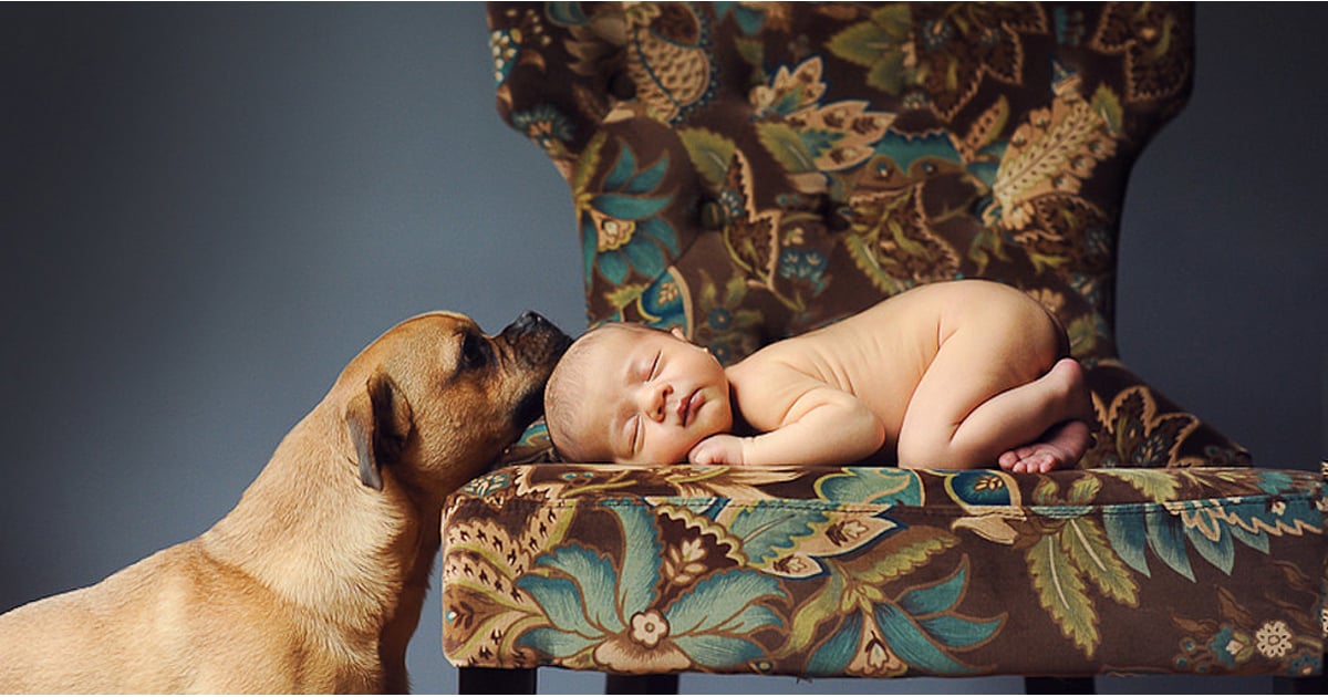 Adorable Newborn and Pet Photos POPSUGAR Family