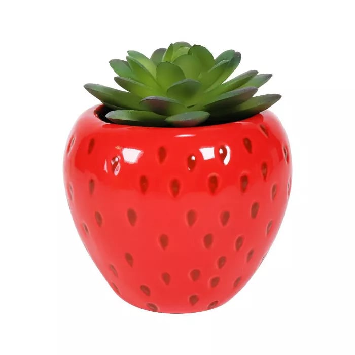 Character Succulent Strawberry
